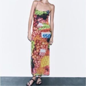 Zara fruit mesh midi dress BLOGGERS FAVORITE! NWT